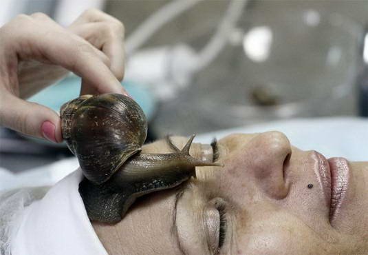 snail-massage-1[2].jpg